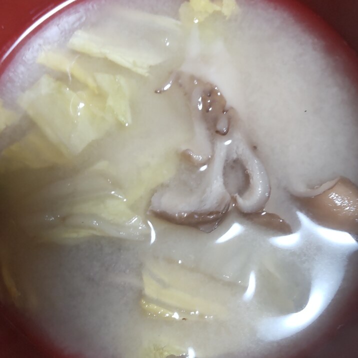 白菜と舞茸の味噌汁